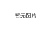 常规材料（金相）样品制备